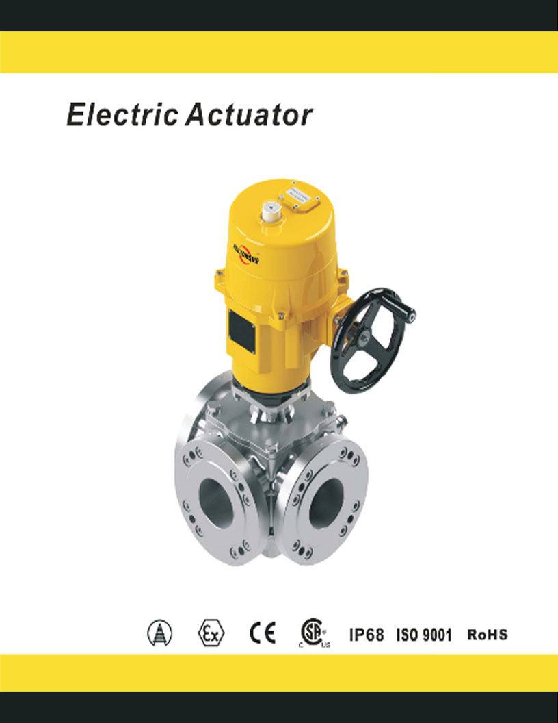 Electric Actuator Thumbnail